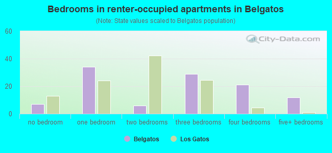 Bedrooms in renter-occupied apartments in Belgatos