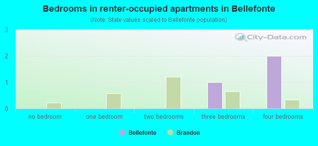 Bedrooms in renter-occupied apartments in Bellefonte