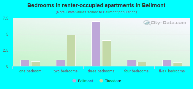 Bedrooms in renter-occupied apartments in Bellmont