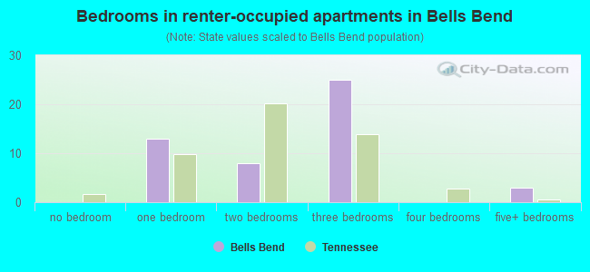 Bedrooms in renter-occupied apartments in Bells Bend