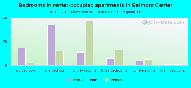 Bedrooms in renter-occupied apartments in Belmont Center