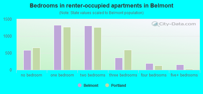 Bedrooms in renter-occupied apartments in Belmont