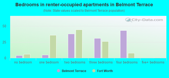 Bedrooms in renter-occupied apartments in Belmont Terrace
