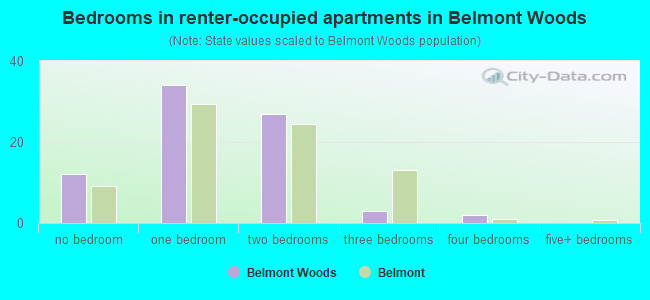 Bedrooms in renter-occupied apartments in Belmont Woods