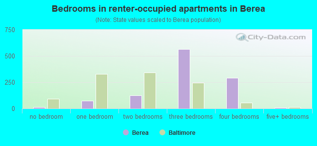 Bedrooms in renter-occupied apartments in Berea