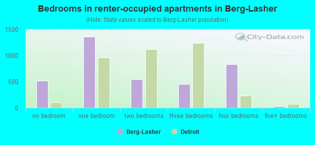 Bedrooms in renter-occupied apartments in Berg-Lasher