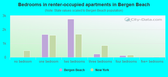 Bedrooms in renter-occupied apartments in Bergen Beach