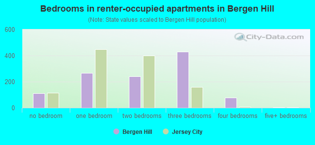 Bedrooms in renter-occupied apartments in Bergen Hill