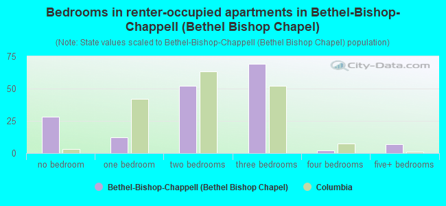 Bedrooms in renter-occupied apartments in Bethel-Bishop-Chappell (Bethel Bishop Chapel)
