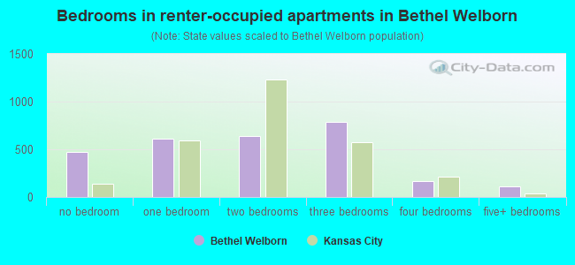 Bedrooms in renter-occupied apartments in Bethel Welborn