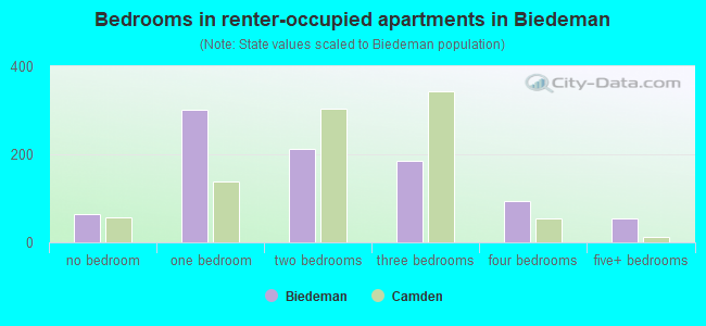 Bedrooms in renter-occupied apartments in Biedeman