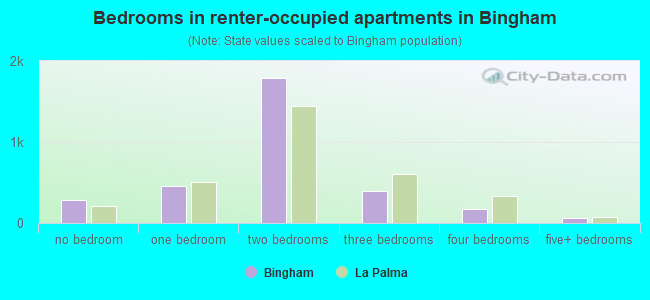 Bedrooms in renter-occupied apartments in Bingham