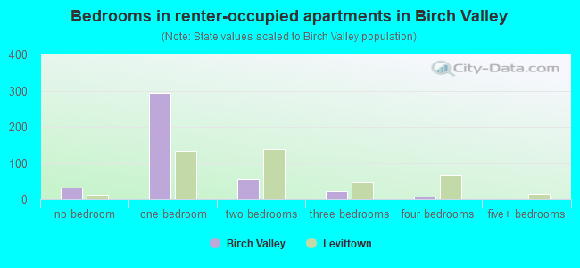 Bedrooms in renter-occupied apartments in Birch Valley