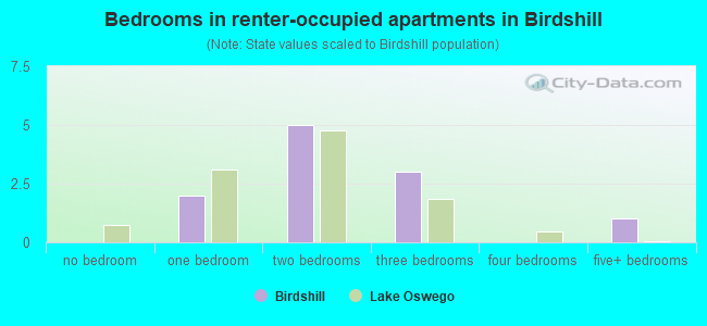 Bedrooms in renter-occupied apartments in Birdshill