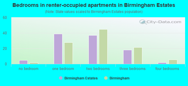 Bedrooms in renter-occupied apartments in Birmingham Estates