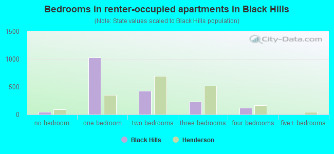 Bedrooms in renter-occupied apartments in Black Hills