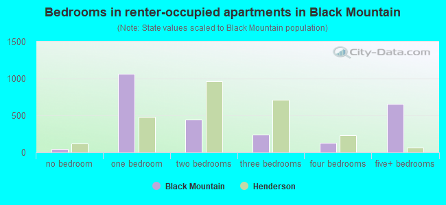 Bedrooms in renter-occupied apartments in Black Mountain