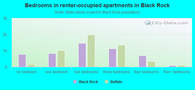 Bedrooms in renter-occupied apartments in Black Rock