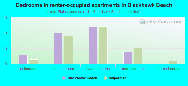 Bedrooms in renter-occupied apartments in Blackhawk Beach