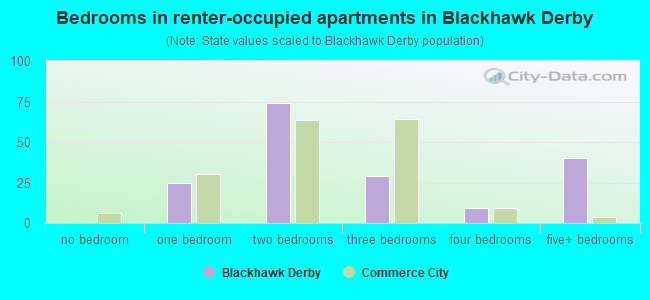 Bedrooms in renter-occupied apartments in Blackhawk Derby
