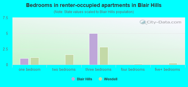 Bedrooms in renter-occupied apartments in Blair Hills