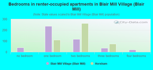 Bedrooms in renter-occupied apartments in Blair Mill Village (Blair Mill)