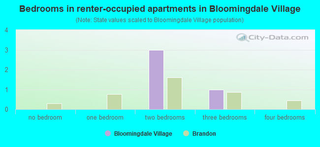Bedrooms in renter-occupied apartments in Bloomingdale Village