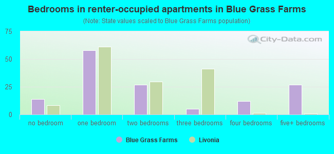 Bedrooms in renter-occupied apartments in Blue Grass Farms