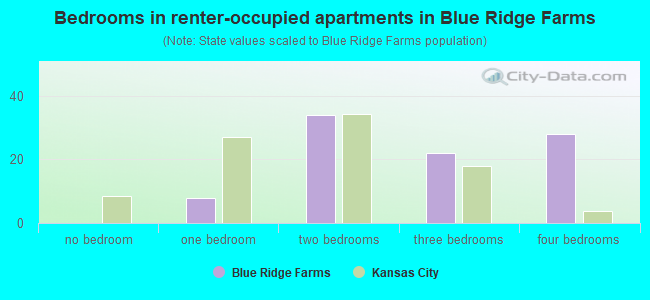 Bedrooms in renter-occupied apartments in Blue Ridge Farms