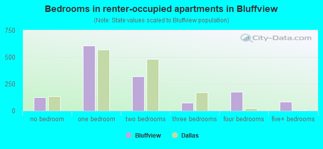 Bedrooms in renter-occupied apartments in Bluffview
