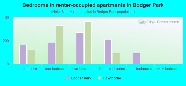 Bedrooms in renter-occupied apartments in Bodger Park