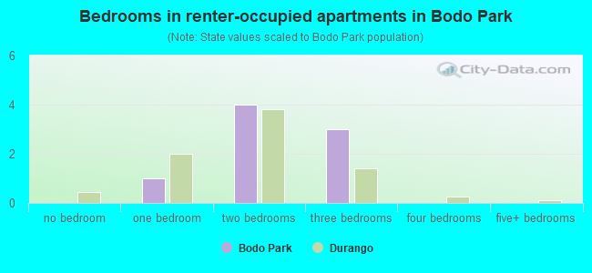 Bedrooms in renter-occupied apartments in Bodo Park
