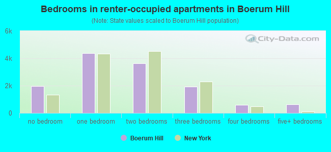 Bedrooms in renter-occupied apartments in Boerum Hill