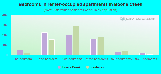 Bedrooms in renter-occupied apartments in Boone Creek