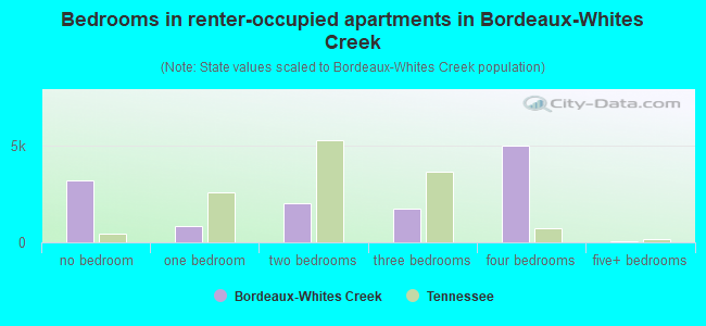 Bedrooms in renter-occupied apartments in Bordeaux-Whites Creek