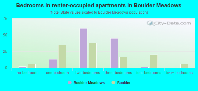 Bedrooms in renter-occupied apartments in Boulder Meadows