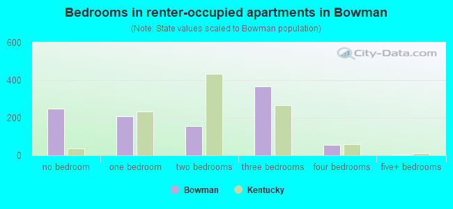 Bedrooms in renter-occupied apartments in Bowman