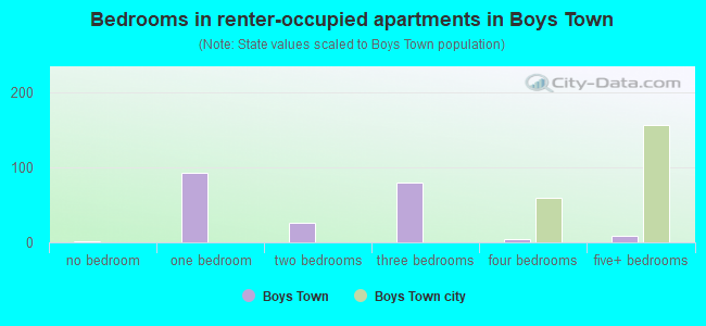 Bedrooms in renter-occupied apartments in Boys Town