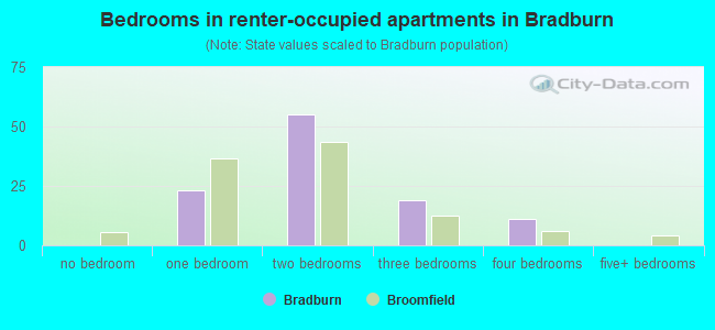 Bedrooms in renter-occupied apartments in Bradburn