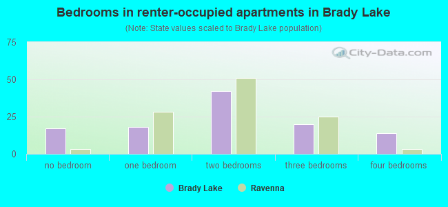 Bedrooms in renter-occupied apartments in Brady Lake