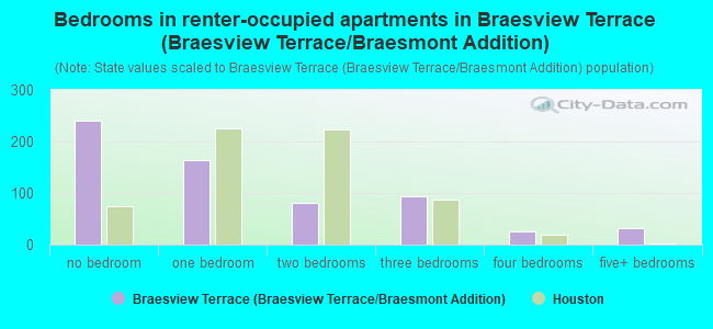Bedrooms in renter-occupied apartments in Braesview Terrace (Braesview Terrace/Braesmont Addition)