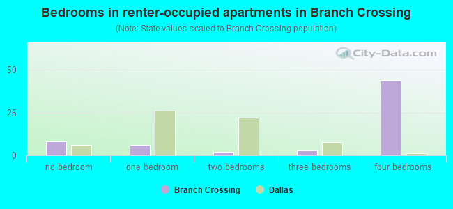 Bedrooms in renter-occupied apartments in Branch Crossing