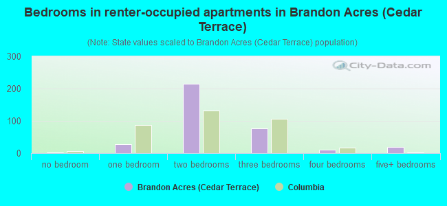 Bedrooms in renter-occupied apartments in Brandon Acres (Cedar Terrace)