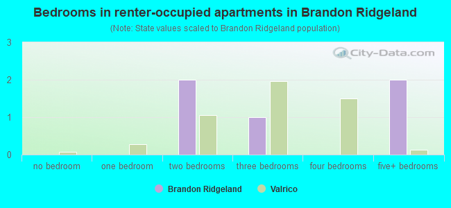 Bedrooms in renter-occupied apartments in Brandon Ridgeland