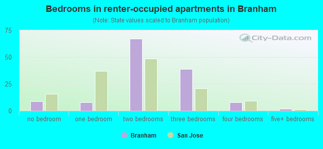 Bedrooms in renter-occupied apartments in Branham