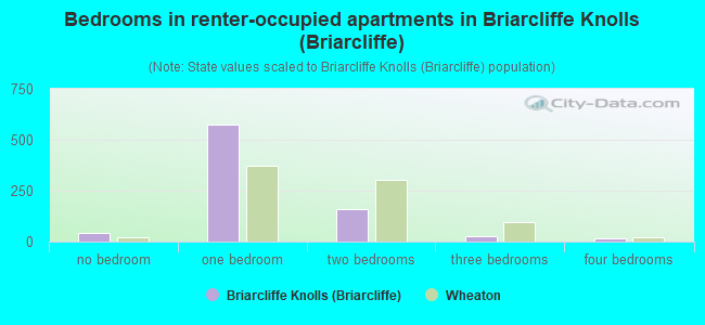 Bedrooms in renter-occupied apartments in Briarcliffe Knolls (Briarcliffe)