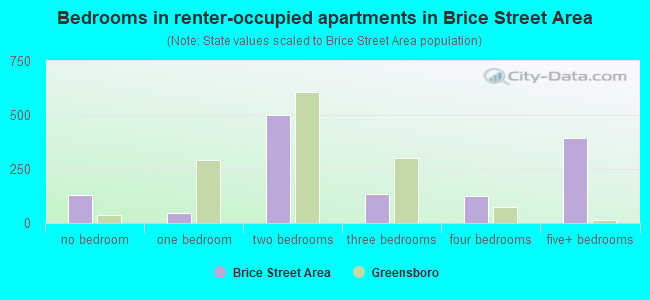 Bedrooms in renter-occupied apartments in Brice Street Area