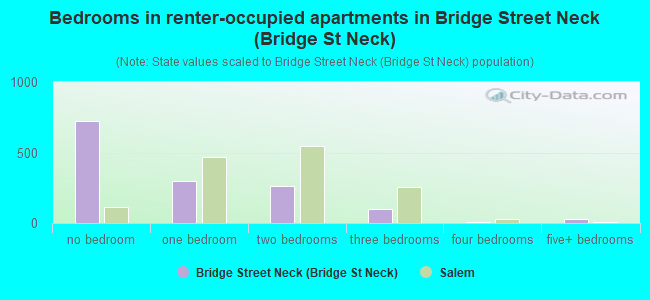 Bedrooms in renter-occupied apartments in Bridge Street Neck (Bridge St Neck)