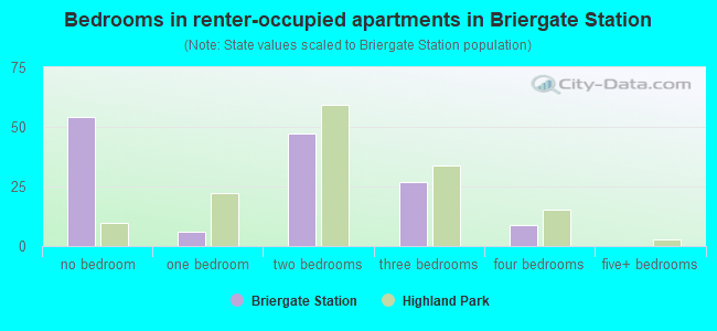 Bedrooms in renter-occupied apartments in Briergate Station