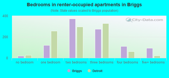 Bedrooms in renter-occupied apartments in Briggs